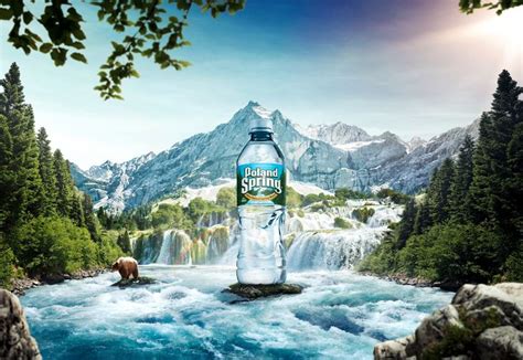 poland spring water history